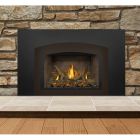 Napoleon Gas Direct Vent Fireplace Insert - GDIX3