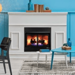 Buck Stove Fireplaces