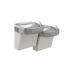 Bi-Level Drinking Fountains