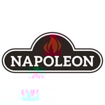Napoleon Fireplace and Stoves