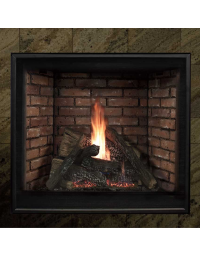 Empire Tahoe 42" Premium Clean Face Direct Vent Gas Fireplace