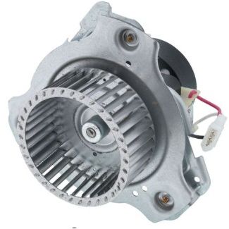 Carrier Inducer Motor - 1196819