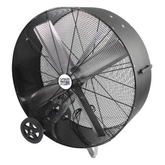 Pro FLEX Series 42 In. 2-Speed Belt Drive Drum Fan - BF42BDPEBLK
