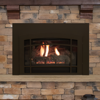 Empire Innsbrook Small Gas Fireplace Insert - Direct Vent - DVC20IN