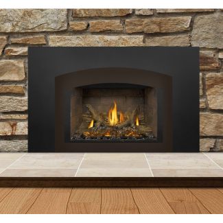 Napoleon Gas Direct Vent Fireplace Insert - GDIX3