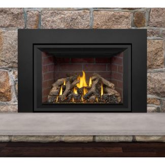 Napoleon Gas Direct Vent Fireplace Insert - GDIX4 No Face