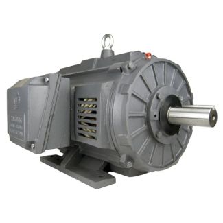 TechTop NEMA Premium Rolled Steel ODP 3600 RPM 2 HP 143TC