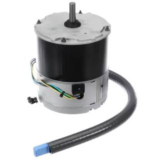 Trane MOT19352 Motor