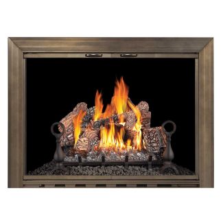 Design Specialties Glass Fireplace Door -  Savannah 