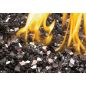 Napoleon Black Glass Embers Media Kit - MKGK