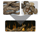 Driftwood and River Rock Ember Bed - Accessory for 74" Ignite XL and Evolve Linear Fireplace