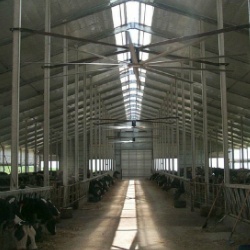 Agriculture & Livestock