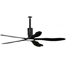 Schwank Ceiling Fans