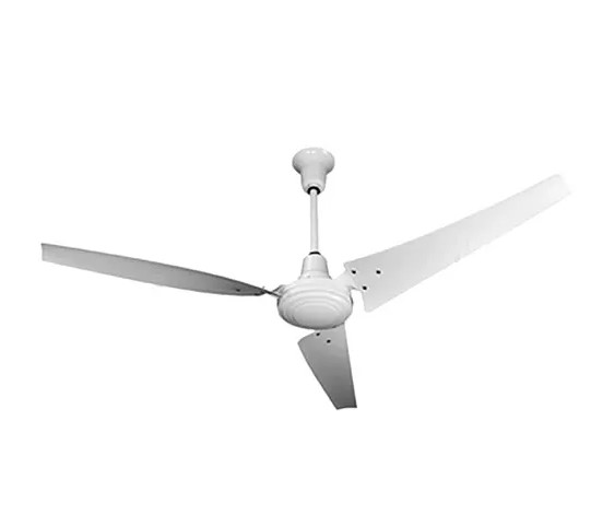 TPI Ceiling Fans