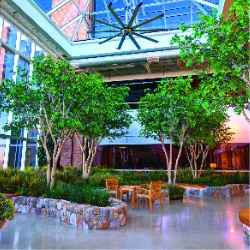 Commercial & Public Spaces