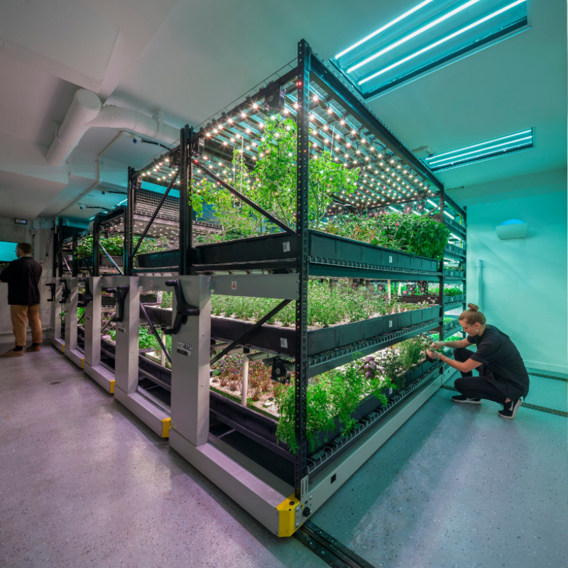 Indoor Grow Room