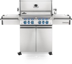Napoleon Freestanding Grills