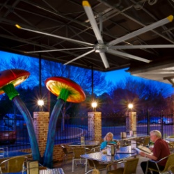 Restaurant & Hospitality