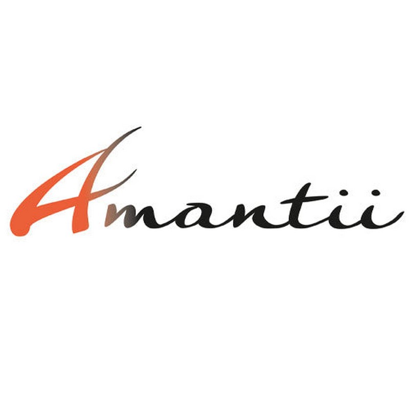 Amantii Tru View Bespoke Canopy Light Addition for Connecting 2 Units