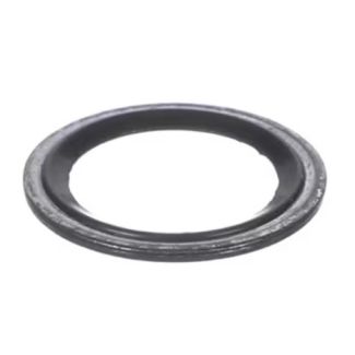 Carrier O Ring - CAR00PPG000033100A