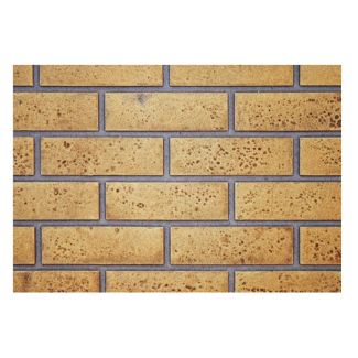 Napoleon Decorative Brick Panels Sandstone - GDS819KT