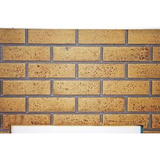Napoleon Decorative Brick Panels Sandstone Standard for Ascent™ X 42 - DBPX42SS