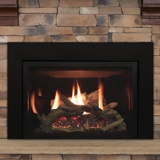 Empire Rushmore 30" Direct Vent Gas Fireplace Insert - DVCT30CBN95