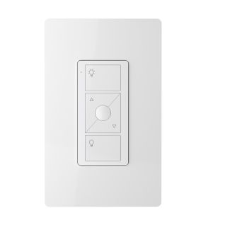 Remote with Wall Mount