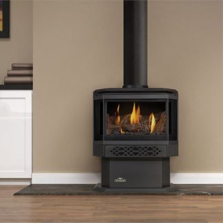 Napoleon GDS28 Gas Direct Vent Stove - GDS28