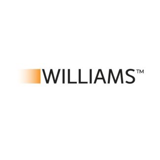 Williams 9A347 High Altitude Conversion Kit for Williams 50k BTU Propane Room Heaters