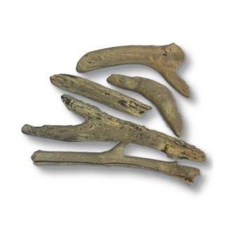 Majestic Jade Driftwood log set