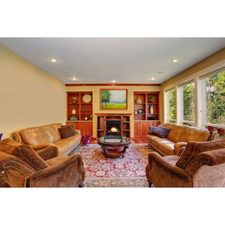 Buck Stove 1110 20" Ventless Gas Fireplace with Logs & Blower, 10K BTU - NV 11102