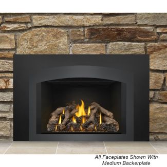 Napoleon Oakville Direct Vent Gas Fireplace Insert - GDIX4