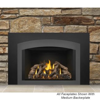 Napoleon Oakville Direct Vent Gas Fireplace Insert - GDIX4