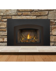 Napoleon Oakville Direct Vent Gas Fireplace Insert - GDIX4