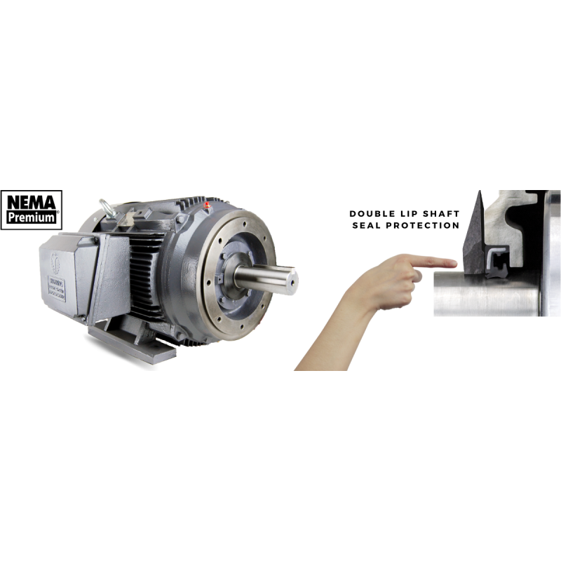 TechTop NEMA Premium Cast Iron TEFC 1200 RPM 40 HP 364TC