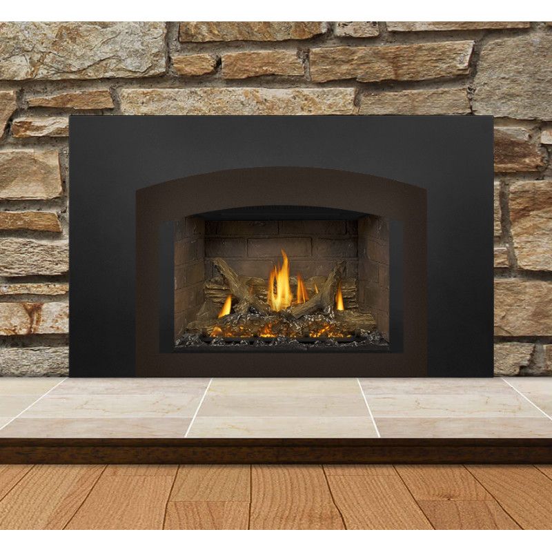 Napoleon Direct Vent Gas Fireplace Insert - GDIX3 | HVACDirect.com