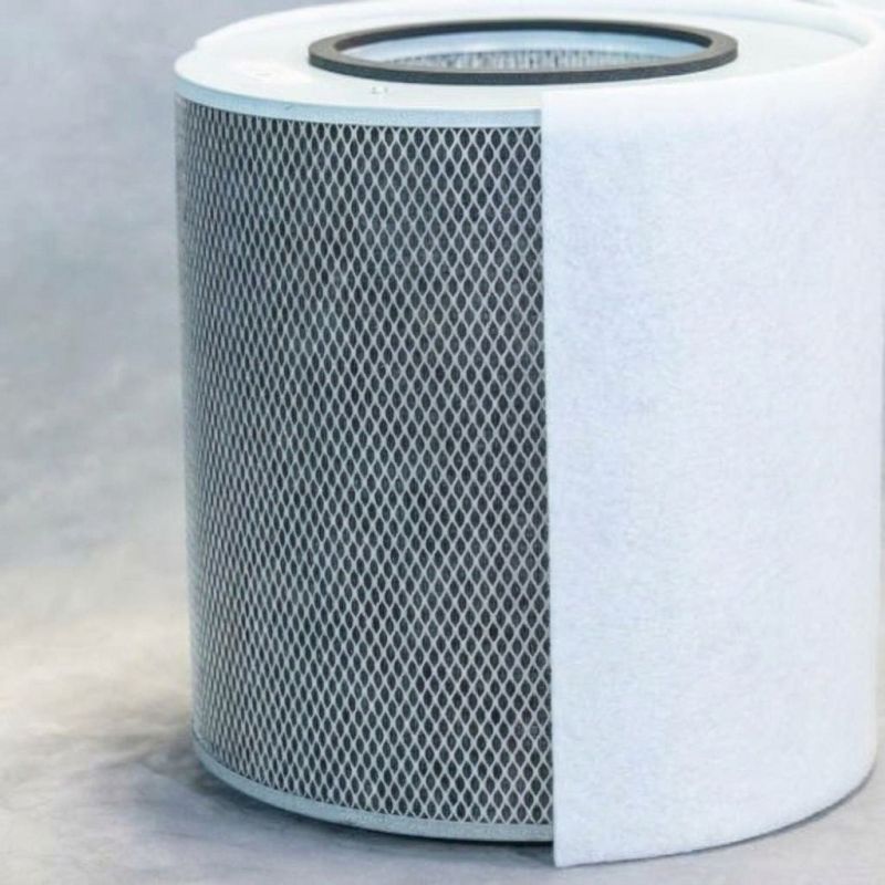 Austin Air Standard Immunity Filter - White (FR444B)