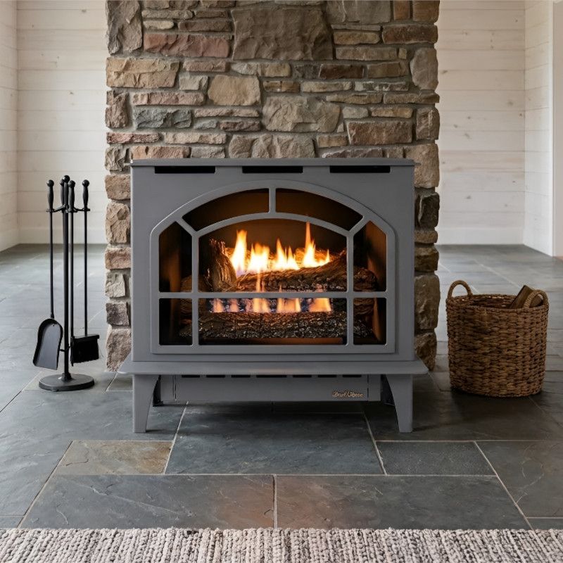 Buck Stove Townsend II Vent Free Gas Heating Stove in Gray for Propane