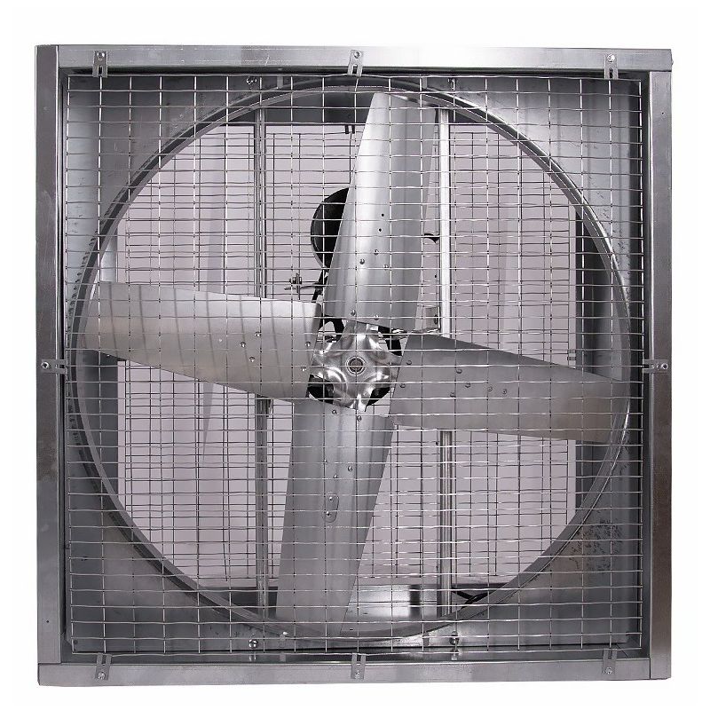 Triangle Fans 48" Direct Drive Slant Wall Agriculture Fan 1 HP 230V 1-Phase Totally Enclosed Motor Direct Drive - SLW4815D