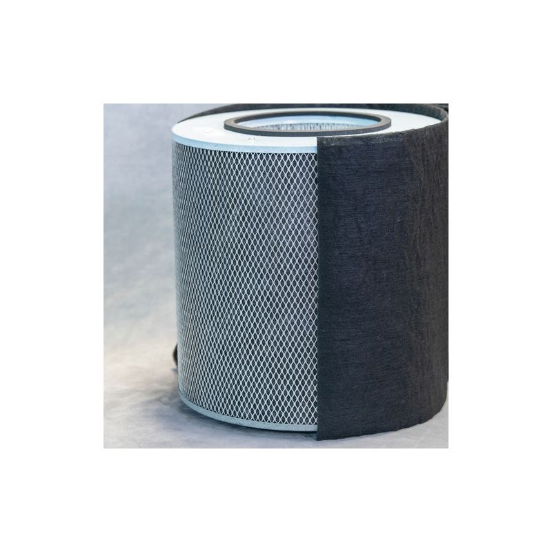Austin Air Standard Immunity Filter - Black (FR444A)