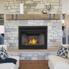 Napoleon Ascent 42" Direct Vent Gas Fireplace - BX42