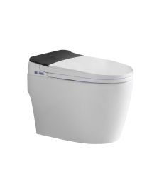 ACiQ Smart Toilet, One-Piece with Bidet, Auto Flush, Heated Seat, LED Display - ACIQ-ST-WB