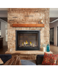 Napoleon Altitude 42" Direct Vent Gas Fireplace - AX42