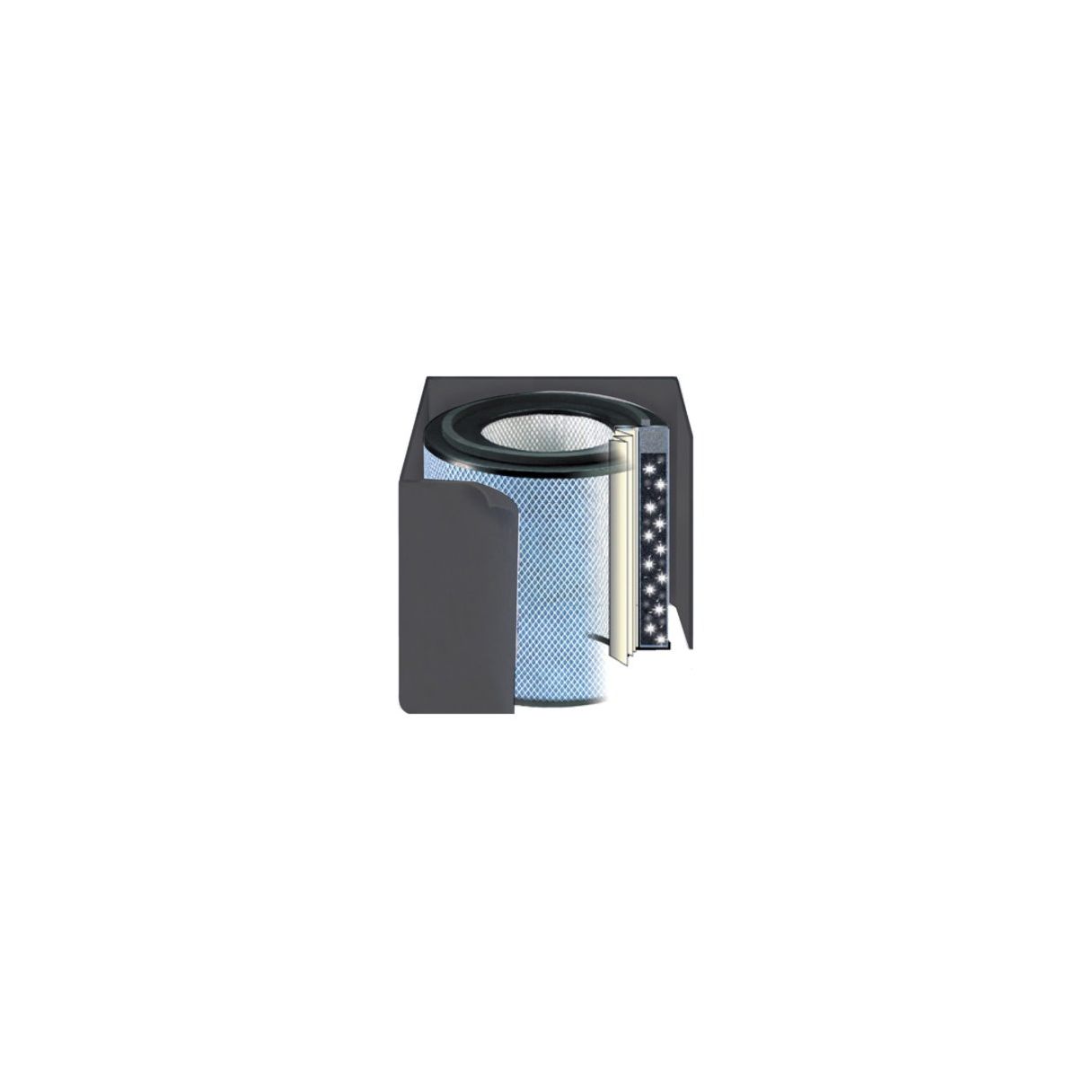 Austin Air Healthmate Plus Junior Filter - Black - FR250A