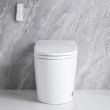 ACiQ Smart Toilet, One-Piece with Bidet, Auto Flush, Heated Seat - ACIQ-ST-WH