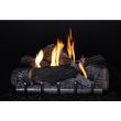 Empire Carol Rose Outdoor 24 Inch Harmony Electronic Ignition Burner and 24 Inch Wildwood Log Set - ONI24 / OLX24WR 