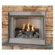 Empire Carol Rose Outdoor 24 Inch Harmony Electronic Ignition Burner and 24 Inch Wildwood Log Set - ONI24 / OLX24WR 