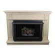 Ashley Hearth Products 34,000 BTU Vent Free Propane Gas Firebox