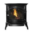 Ashley Hearth Products 31,000 BTU Vent Free Natural Gas Stove Black Enameled Porcelain Cast Iron